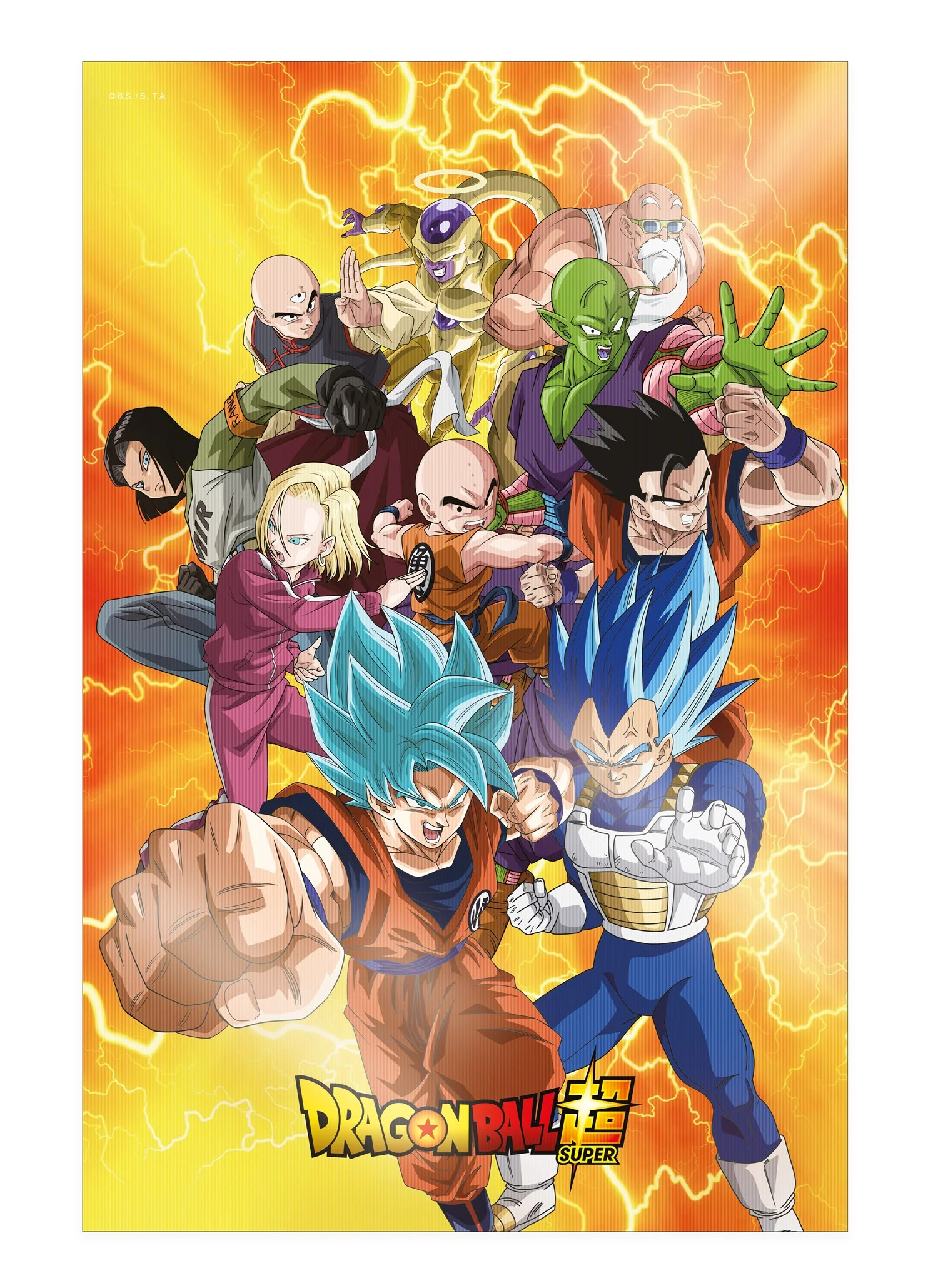 Poster 3D Dragon Ball Super Universal Survival Heroes SD Toys