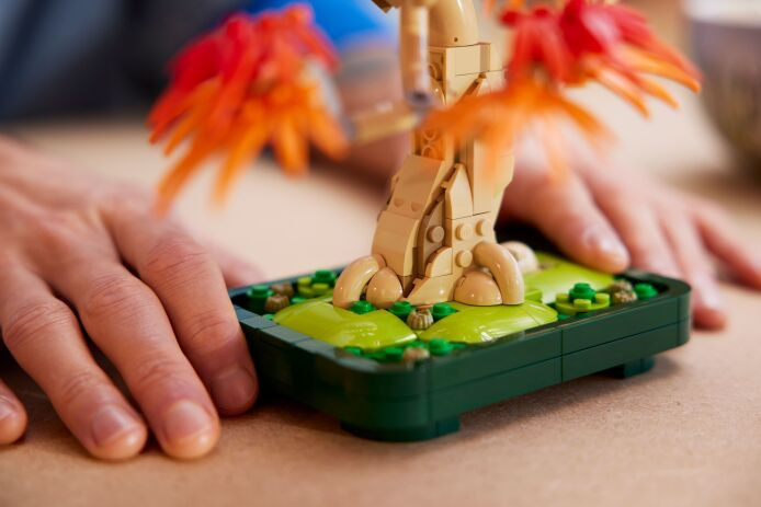 LEGO Botanicals Bonsaï Érable rouge japonais 10348