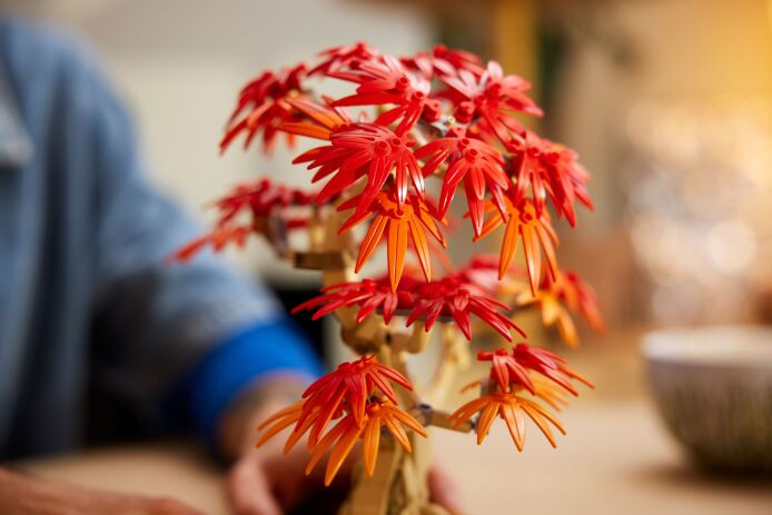 LEGO Botanicals Bonsaï Érable rouge japonais 10348