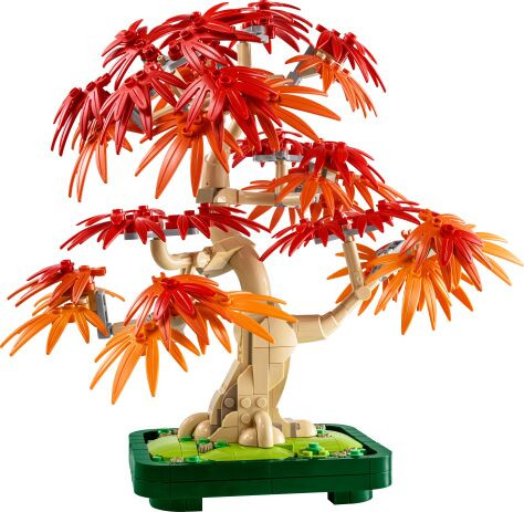LEGO Botanicals Bonsaï Érable rouge japonais 10348